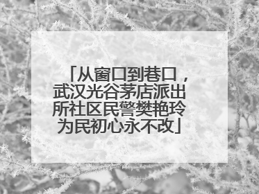 从窗口到巷口，武汉光谷茅店派出所社区民警樊艳玲为民初心永不改