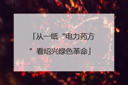 从一纸“电力药方”看绍兴绿色革命