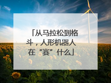 从马拉松到格斗，人形机器人在“赛”什么