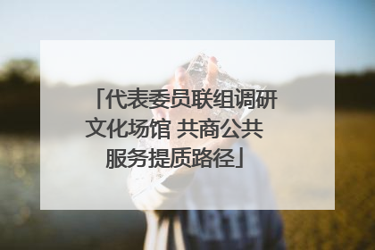 代表委员联组调研文化场馆 共商公共服务提质路径