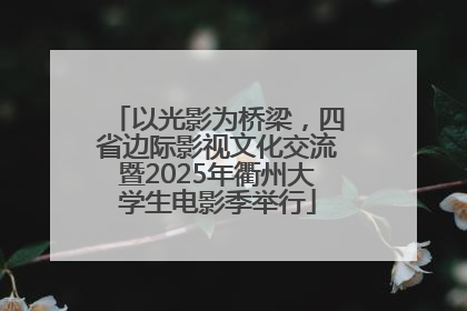 以光影为桥梁，四省边际影视文化交流暨2025年衢州大学生电影季举行