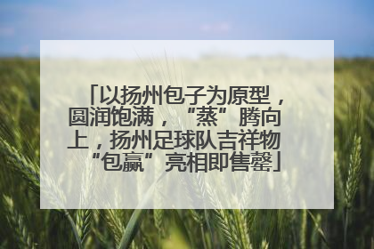 以扬州包子为原型，圆润饱满，“蒸”腾向上，扬州足球队吉祥物“包赢”亮相即售罄