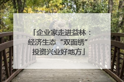 企业家走进益林：经济生态“双面绣” 投资兴业好地方