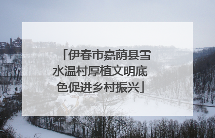 伊春市嘉荫县雪水温村厚植文明底色促进乡村振兴