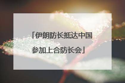 伊朗防长抵达中国参加上合防长会