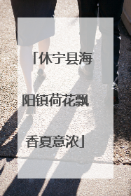 休宁县海阳镇荷花飘香夏意浓