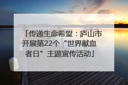 传递生命希望：庐山市开展第22个“世界献血者日”主题宣传活动