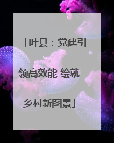 叶县：党建引领高效能 绘就乡村新图景