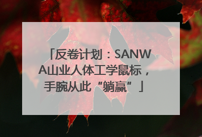 反卷计划：SANWA山业人体工学鼠标，手腕从此“躺赢”