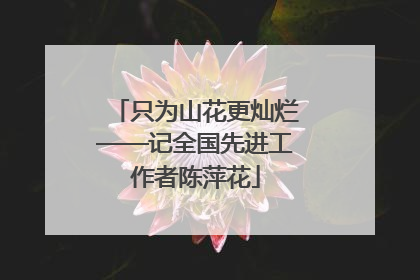 只为山花更灿烂——记全国先进工作者陈萍花