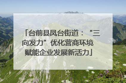 台前县凤台街道：“三向发力”优化营商环境 赋能企业发展新活力