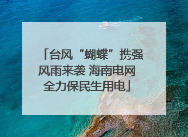 台风“蝴蝶”携强风雨来袭 海南电网全力保民生用电
