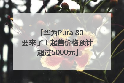 华为Pura 80要来了！起售价格预计超过5000元