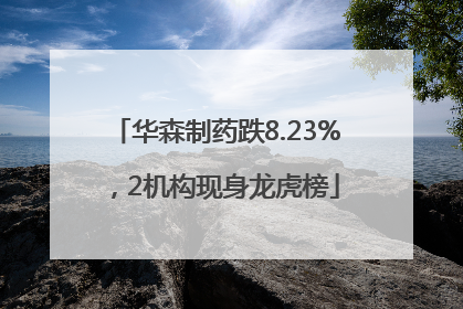 华森制药跌8.23%，2机构现身龙虎榜
