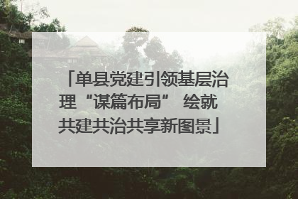 单县党建引领基层治理“谋篇布局” 绘就共建共治共享新图景
