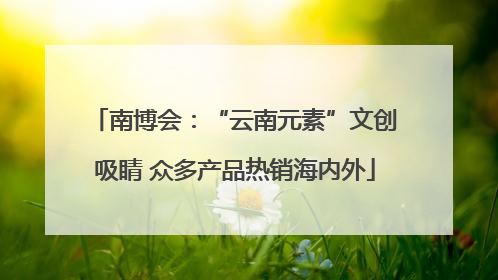 南博会：“云南元素”文创吸睛 众多产品热销海内外