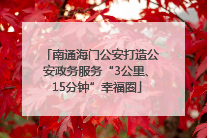 南通海门公安打造公安政务服务“3公里、15分钟”幸福圈