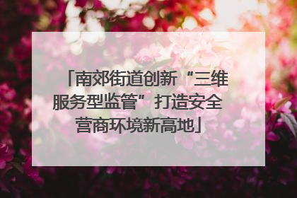 南郊街道创新“三维服务型监管”打造安全营商环境新高地