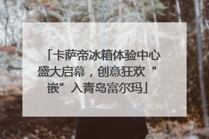 卡萨帝冰箱体验中心盛大启幕，创意狂欢“嵌”入青岛富尔玛
