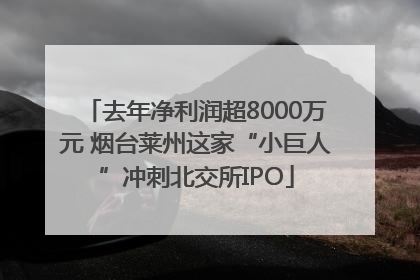 去年净利润超8000万元 烟台莱州这家“小巨人”冲刺北交所IPO