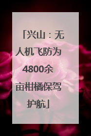 兴山：无人机飞防为4800余亩柑橘保驾护航