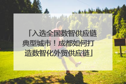 入选全国数智供应链典型城市！成都如何打造数智化外贸供应链