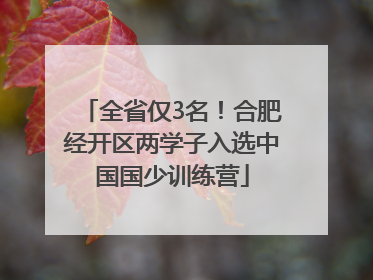 全省仅3名！合肥经开区两学子入选中国国少训练营