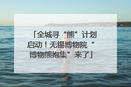 全城寻“熊”计划启动！无锡博物院“博物熊抱集”来了