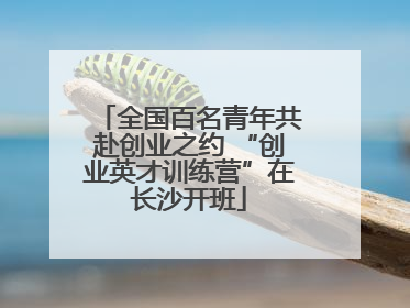 全国百名青年共赴创业之约 “创业英才训练营”在长沙开班