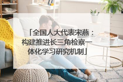 全国人大代表宋燕：构建推进长三角检察一体化学习研究机制