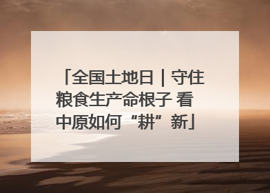 全国土地日｜守住粮食生产命根子 看中原如何“耕”新
