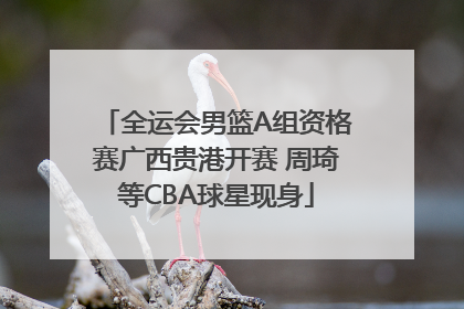 全运会男篮A组资格赛广西贵港开赛 周琦等CBA球星现身