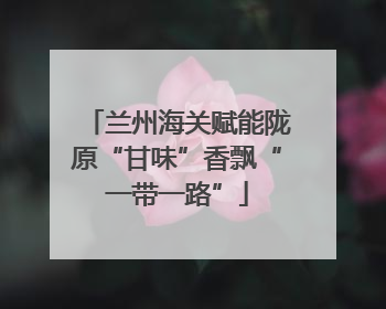 兰州海关赋能陇原“甘味”香飘“一带一路”