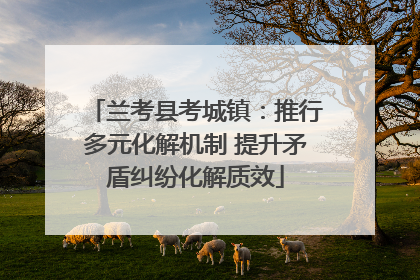 兰考县考城镇：推行多元化解机制 提升矛盾纠纷化解质效