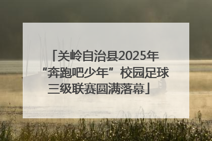 关岭自治县2025年“奔跑吧少年”校园足球三级联赛圆满落幕