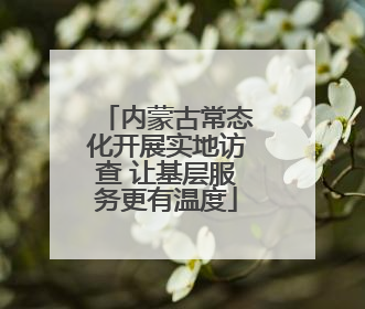 内蒙古常态化开展实地访查 让基层服务更有温度