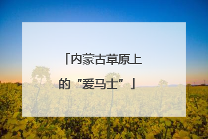 内蒙古草原上的“爱马士”