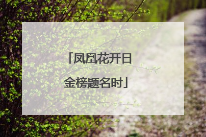 凤凰花开日 金榜题名时
