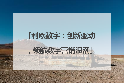 利欧数字：创新驱动，领航数字营销浪潮