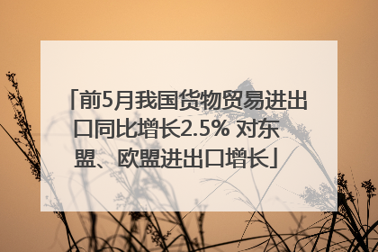 前5月我国货物贸易进出口同比增长2.5% 对东盟、欧盟进出口增长