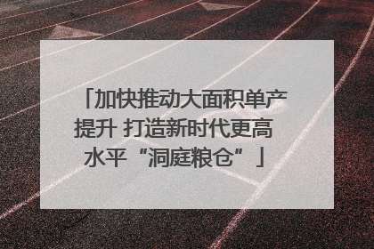 加快推动大面积单产提升 打造新时代更高水平“洞庭粮仓”