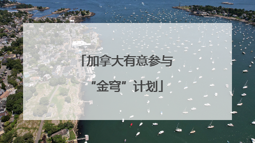 加拿大有意参与“金穹”计划