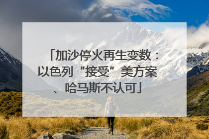 加沙停火再生变数：以色列“接受”美方案、哈马斯不认可