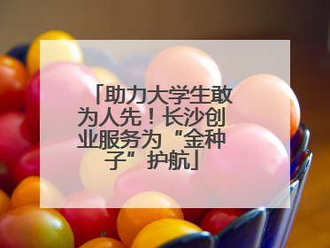 助力大学生敢为人先！长沙创业服务为“金种子”护航