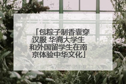 包粽子制香囊穿汉服 华裔大学生和外国留学生在南京体验中华文化