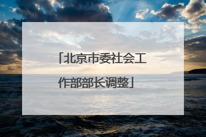 北京市委社会工作部部长调整