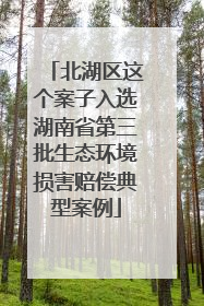 北湖区这个案子入选湖南省第三批生态环境损害赔偿典型案例