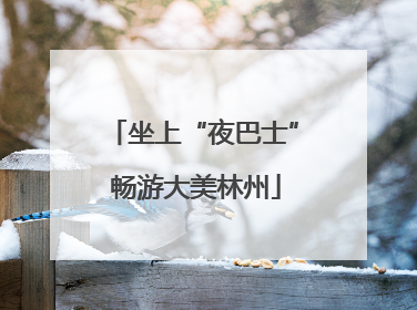 坐上“夜巴士” 畅游大美林州