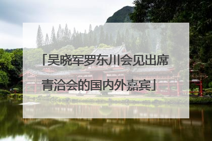 吴晓军罗东川会见出席青洽会的国内外嘉宾