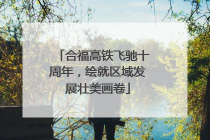 合福高铁飞驰十周年，绘就区域发展壮美画卷